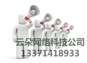 云朵網絡 專業SEO優化外包服務，科技賦能網絡營銷推廣