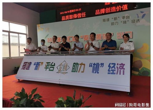 上海奉賢黃桃香飄香港，技術賦能開啟高品質農產品出口新篇章